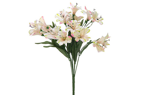 Natural Alstroemeria Bush - Blush