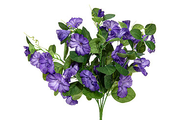 Petunia Bush x5 - Purple