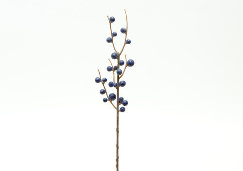 13in Waterproof Naked Jojo Berry Spray x23 - Blue (24pk)