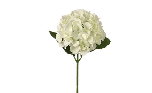 18in Hydrangea Bloom - Cream