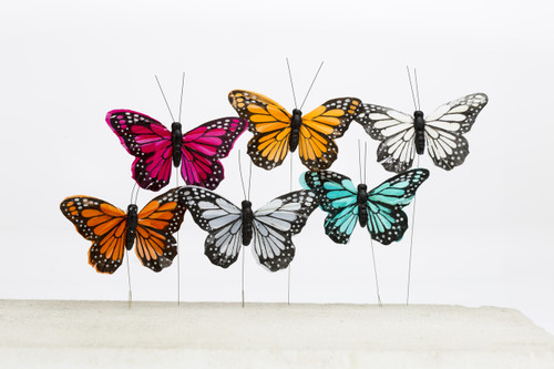 3in Feather Painted Butterfly - Tropical (12pk)