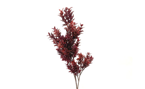 23in Fall Ruscus Spray x3  Burgundy