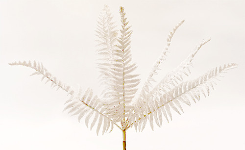 17in Glitter Fern Bush x7 - White