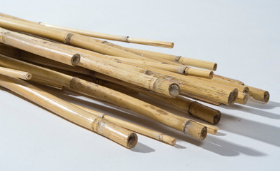 7ft Dried River Cane - Natural (25pk)