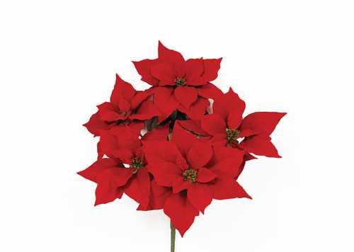20in Velvet Poinsettia Bush x7 - Red