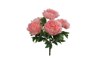 20in Peony Bush x5 - Pink
