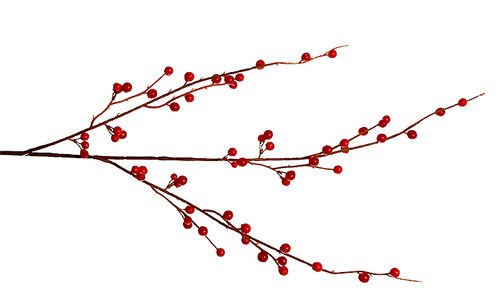 36in Waterproof Red Berry Spray