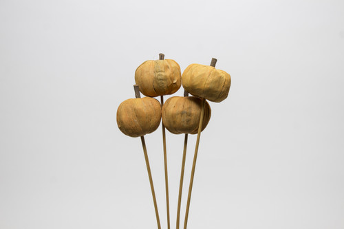 6cm Pana Pumpkin on 18in Stem - Orange (4pk)