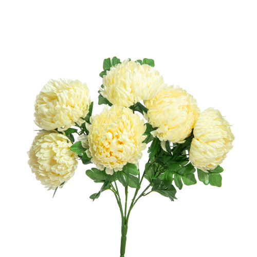 Football Mum Bush x7 - Winter White