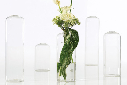 6in Tall Highball Clear Glass Vase