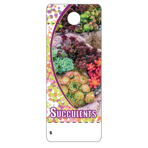 Floral Care Cards (100PK) - Succulents