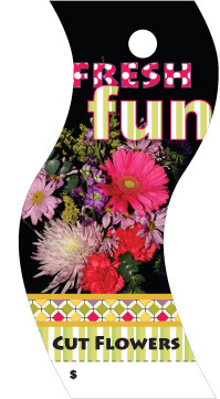 Floral Care Cards - Cut Flowers