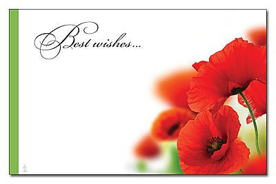 50pk Enclosure Cards - Best Wishes