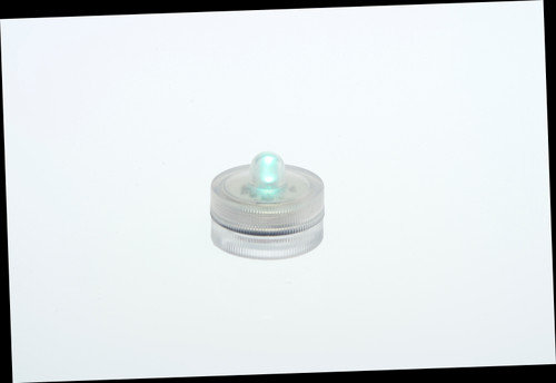 24hr FloraLyte Submersible Lights - Blue