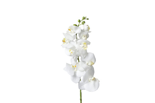 29in Phalaenopsis Orchid Stem - White
