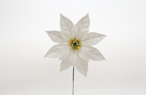6.5in Plastic Poinsettia Pick with Barbed Stem - White (Bulk)