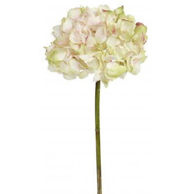 19in Hydrangea Stem - Pink Green