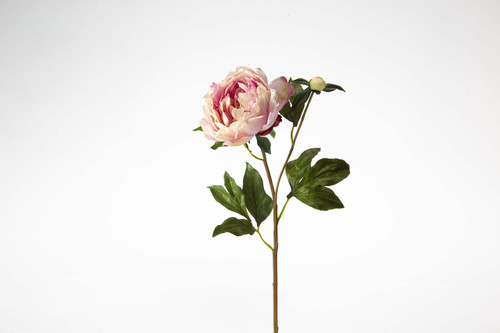 19.5in Open Peony Stem - Orchid