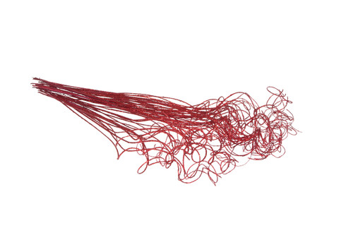 4oz Sparkle Curly Ting Ting - Red