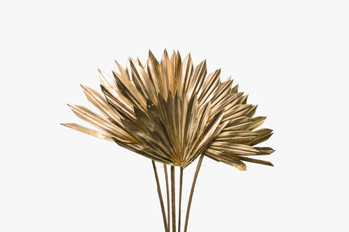 18in Long Dried Palm Sun Spear with Stem - Gold