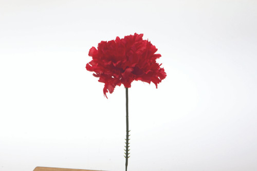 Carnation on 5in Pick (Box of 100) - Red