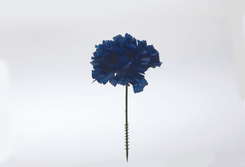 Carnation on 5in Pick (Box of 100) - Royal