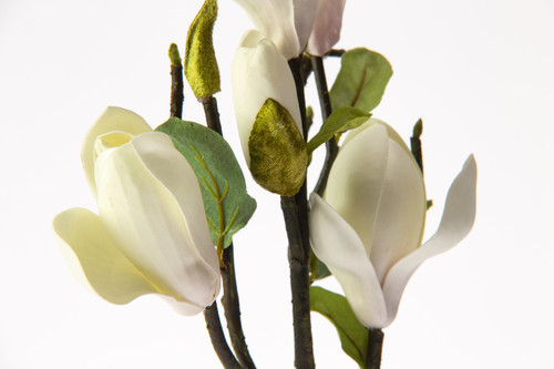 20in Magnolia Branch - Champagne