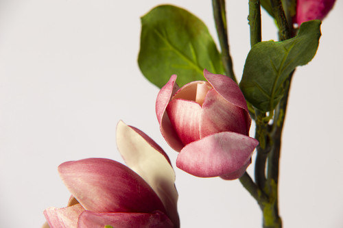 20in Magnolia Branch - Fuchsia