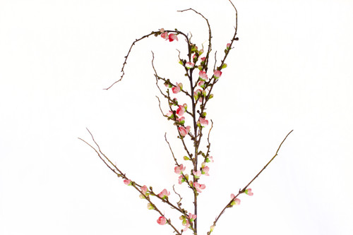 59.5in Blossom Bridal Branch - Salmon