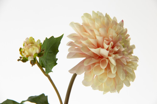 20in Short Stem Dahlia - Pink
