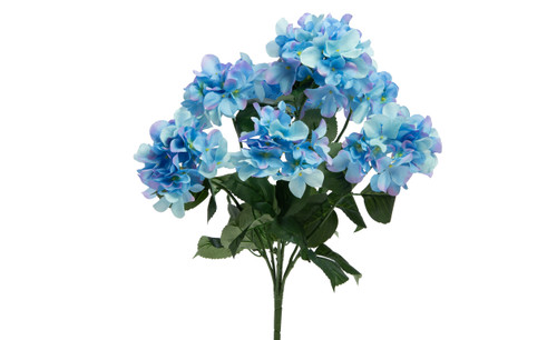 Regal Hydrangea Bush x7 - Blue
