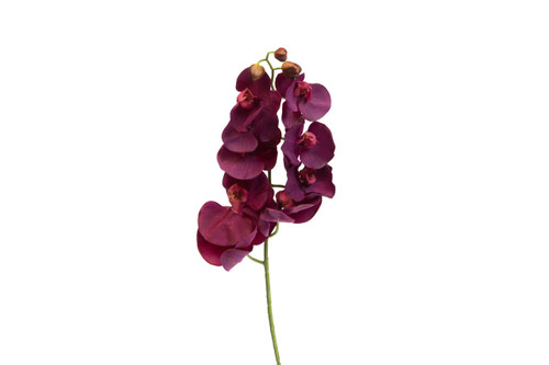 33.5in Phalaenopsis Orchid Stem - Purple