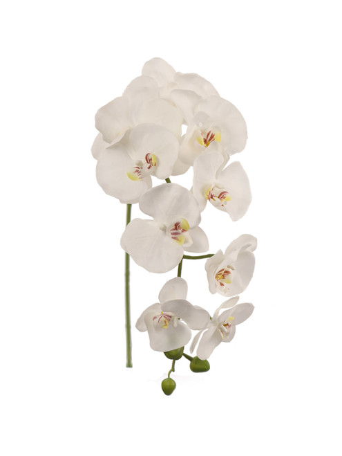 33.5in Phalaenopsis Orchid Stem - White