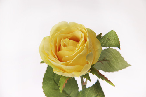 20in Opening Rose - Yellow