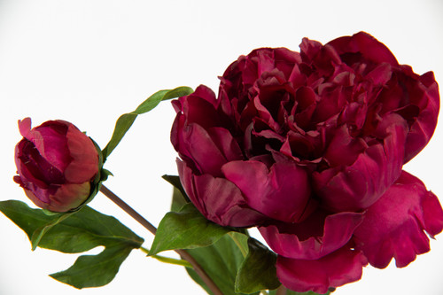 19.5in Peony Open Bud Stem - Fuchsia