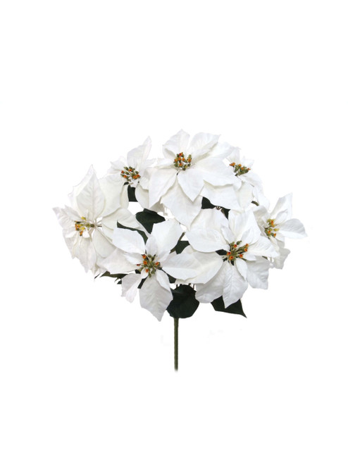 Weather Resistant Poinsettia Bush x7 - White