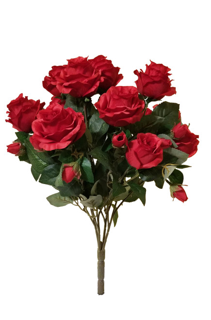 Eternity Rose Bush x12 - Red