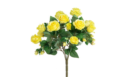 Eternity Rose Bush x12 - Yellow