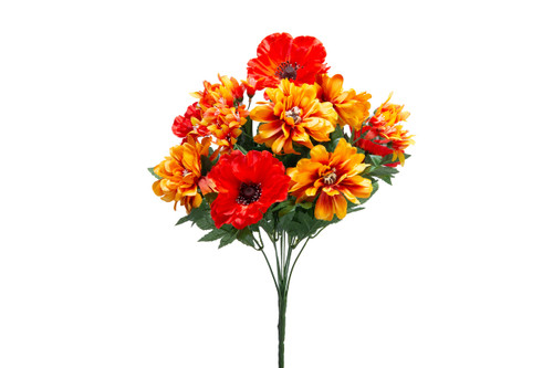 Mixed Poppy Zinnia Bush - Orange