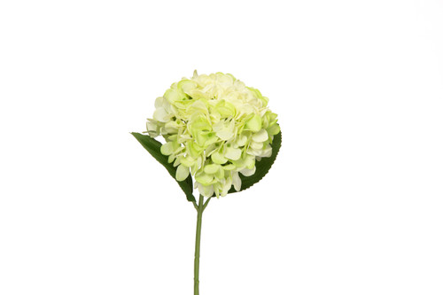 18in Hydrangea Bloom - Green