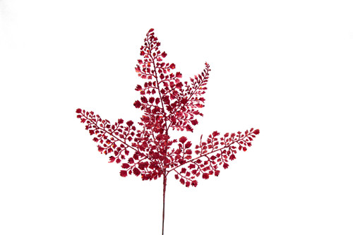 18in Glitter Maidenhair Spray x5 - Burgundy