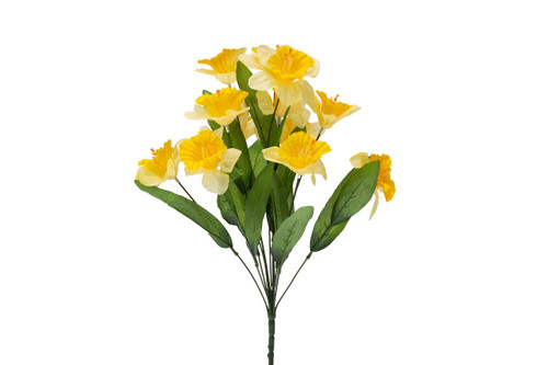 Spring Bush Assortment x12 - Yellow Daffodil