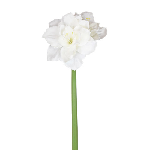 26in Amaryllis Stem - White