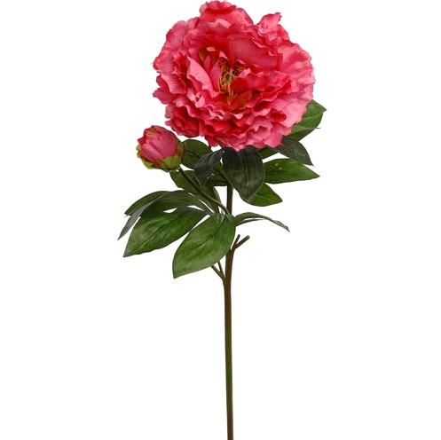 30in Peony Spray with Bud - Fuchsia