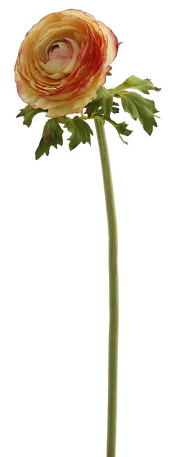 21in Open Ranunculus Stem - Purple Red Gold