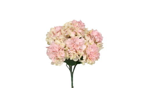 21in Hydrangea Bush X6 - Cream Pink