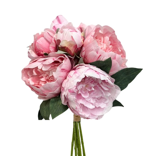 14in Peony Bundle Tied with Raffia - Pink