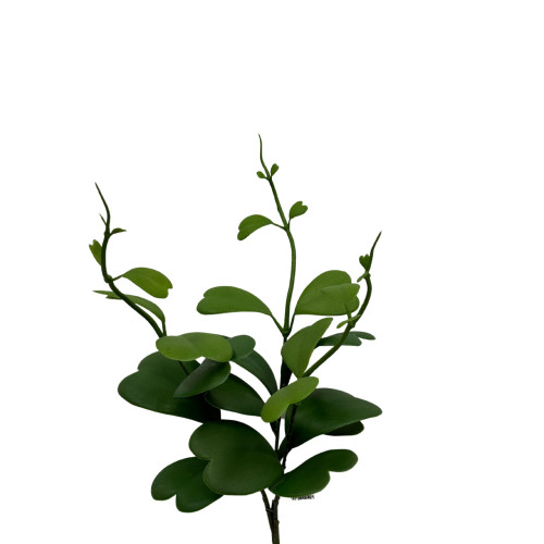 17in Tall Hoya Kerri Bush x3 - Green