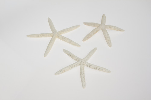 7-9in Starfish - White (Bag of 3)