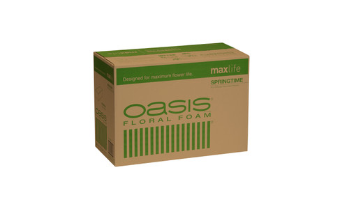 Standard Oasis Floral Foam (Box of 48) - Jacobson